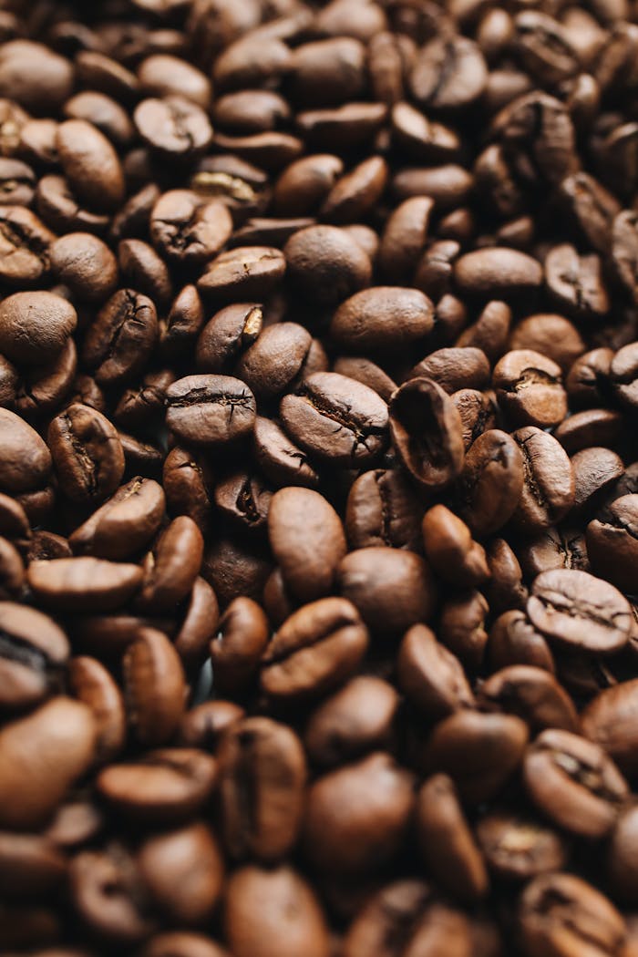 Close-up view of aromatic roasted coffee beans showcasing texture and richness.